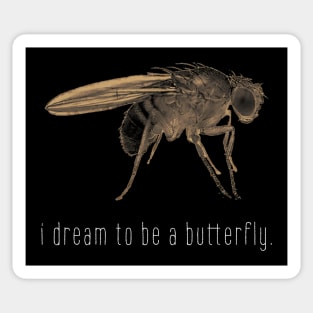 I dream to be a butterfly. Sticker